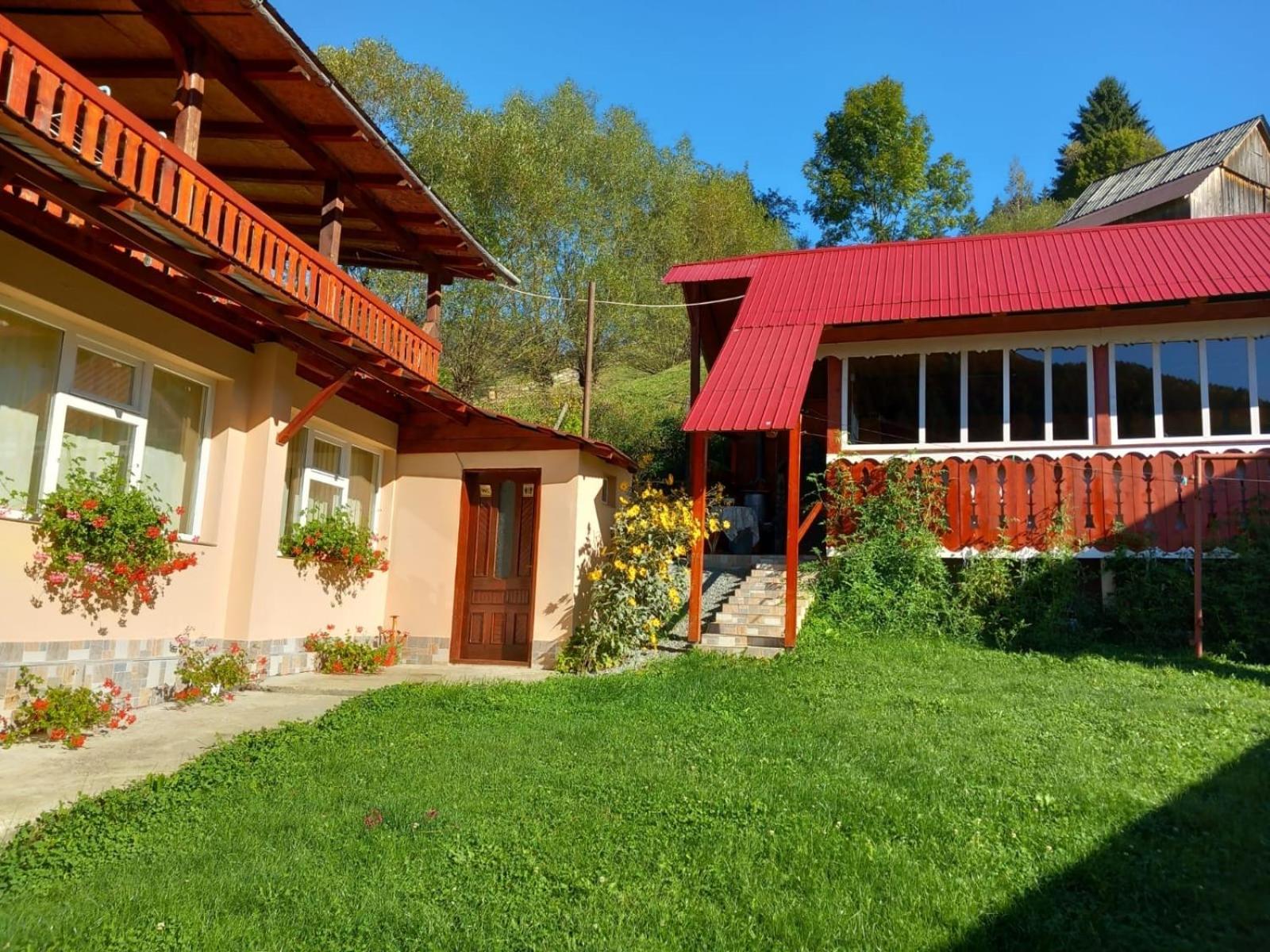 Pensiunea Daiana Albac Exterior foto