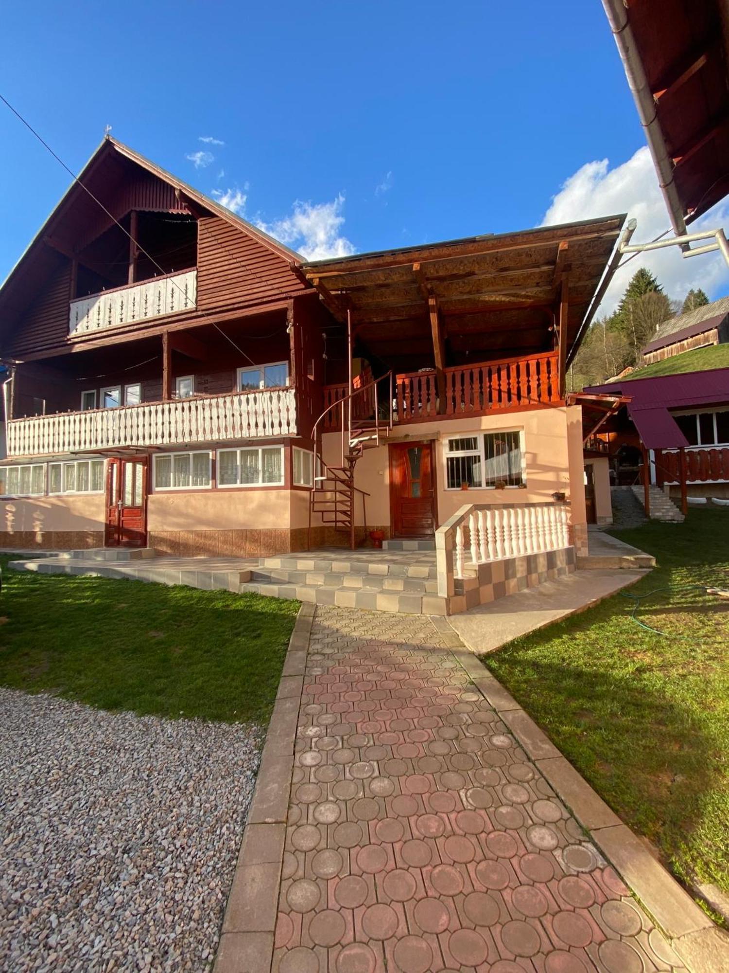 Pensiunea Daiana Albac Exterior foto