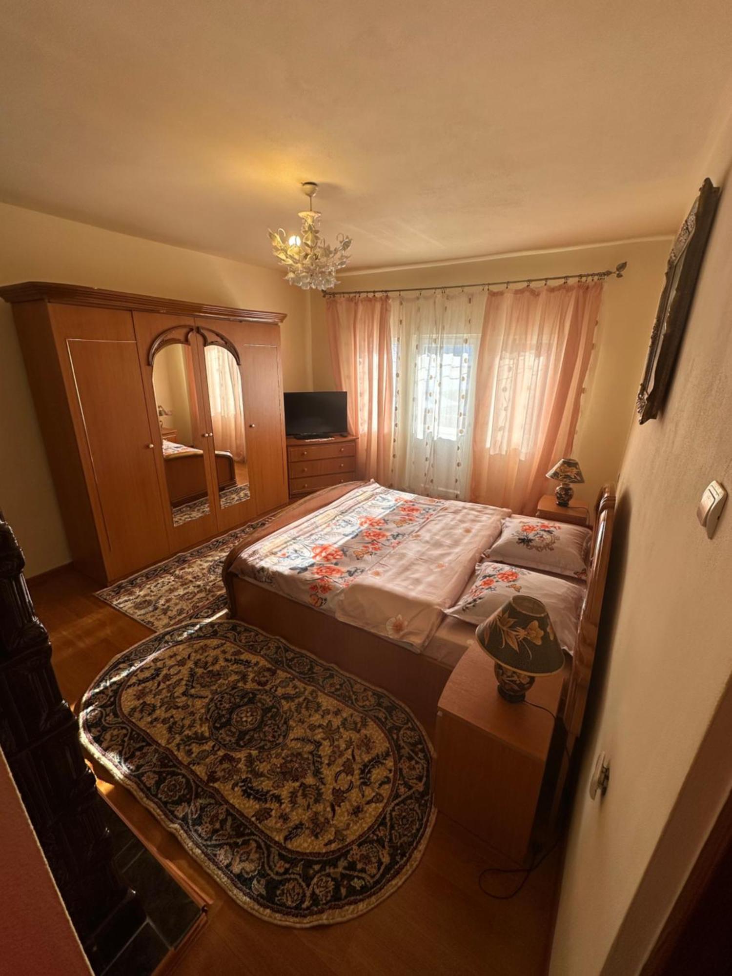 Pensiunea Daiana Albac Exterior foto